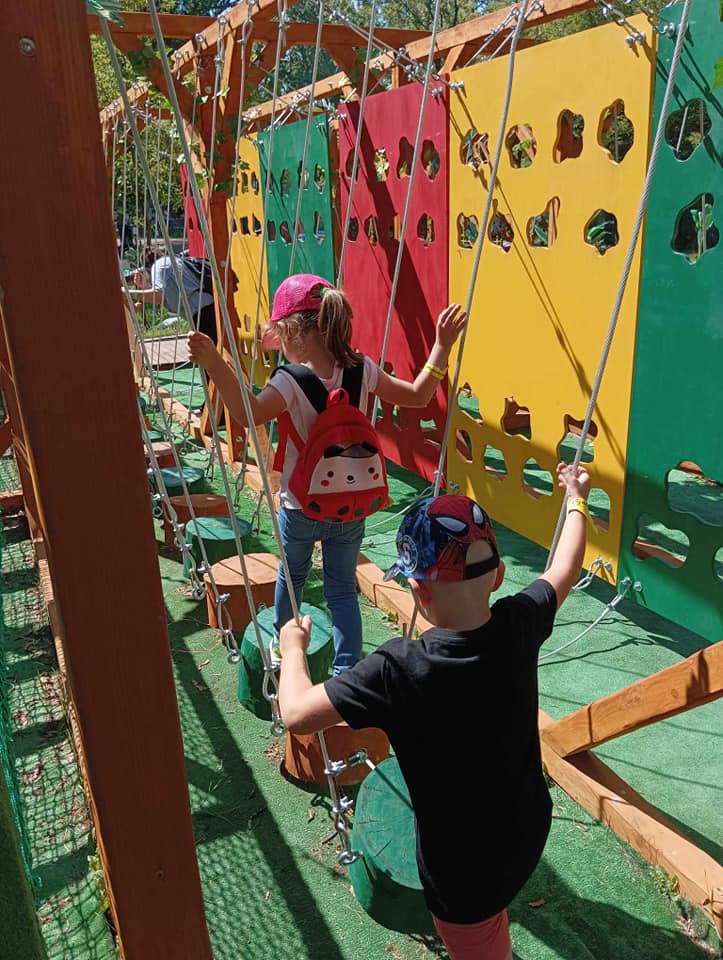 493277033_1234845041975561_7391277107780594272_n